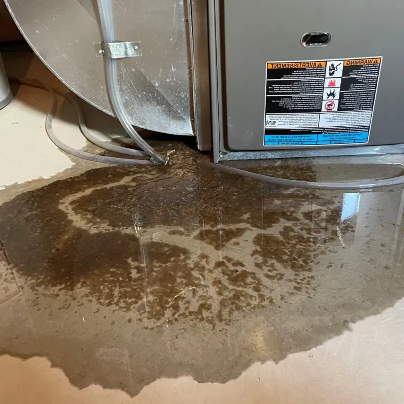 Pipe Burst and Leak Restoration in Anderson, CA