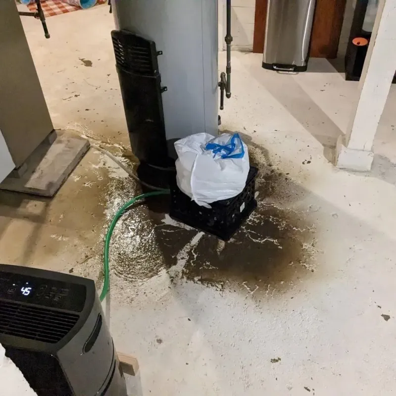 Sewage Backup Cleanup Service in Anderson, CA